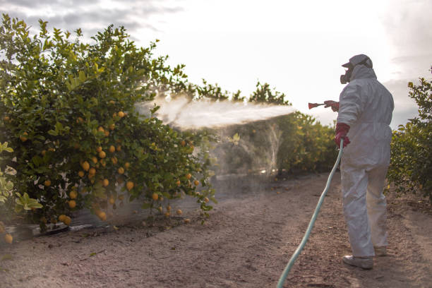 Best Ant Control Services  in Chualar, CA
